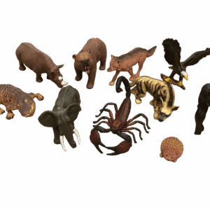 Kits Animales Salvajes